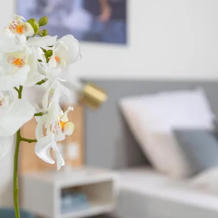 Nino-boardinghouse 6 * Nordhorn