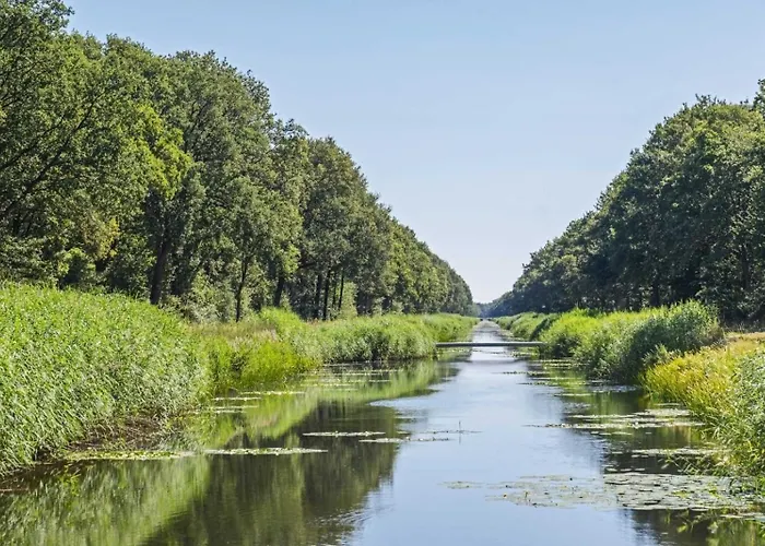 Nino-boardinghouse 6 *