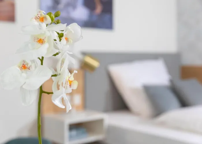 Nino-boardinghouse 6 * 诺德霍恩